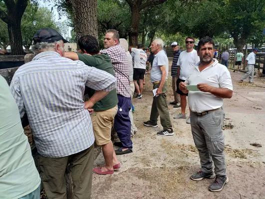 tn_IMG_20250116_153101366_HDR