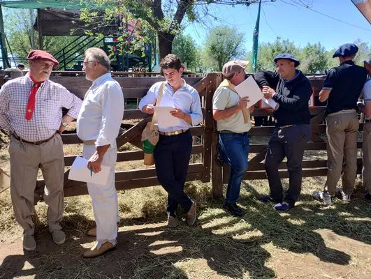 tn_IMG_20241026_111027935_HDR