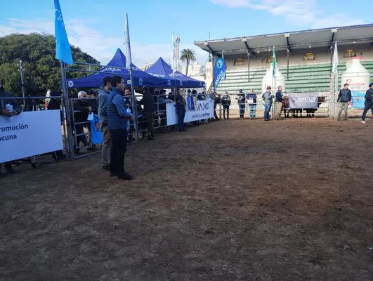 tn_IMG_20250521_093500406