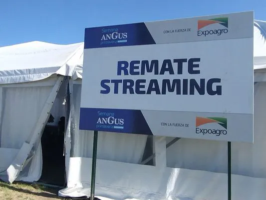 tn_IMG_20240916_145344591