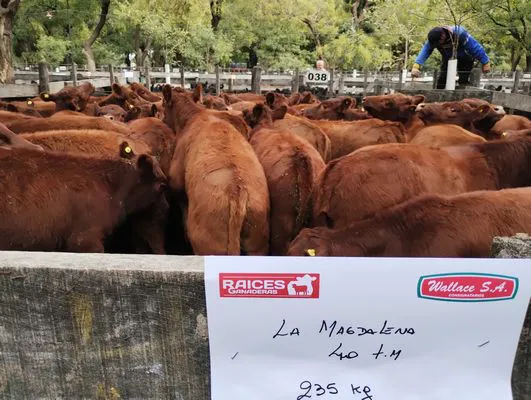 tn_IMG_20240411_142606257