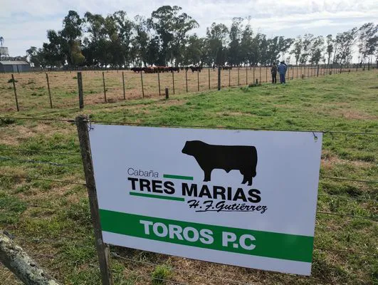 tn_IMG_20240815_111600114