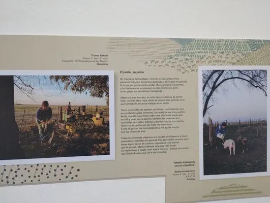 tn_IMG_20241015_185354124