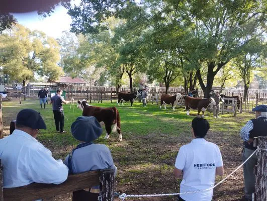 tn_IMG_20250508_151303023