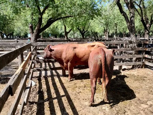 tn_IMG_20240214_152447188_HDR