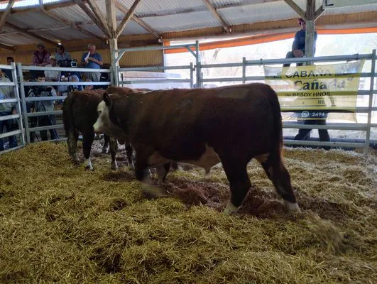 tn_IMG_20240925_122935484_HDR