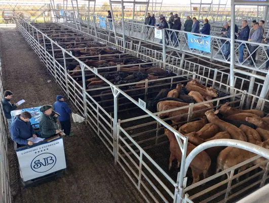 tn_IMG_20240916_101015139_HDR