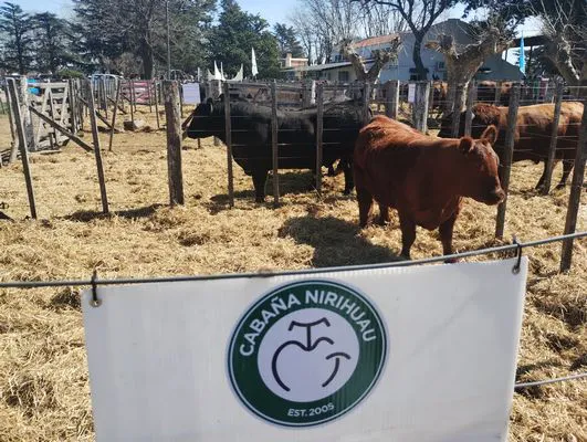 tn_IMG_20240912_114010334