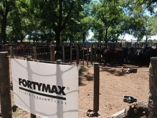 tn_IMG_20231213_130022027