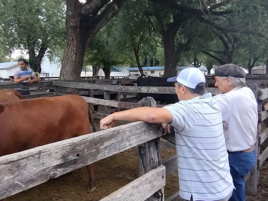 tn_IMG_20240221_122532699