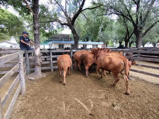 tn_IMG_20240221_122958610