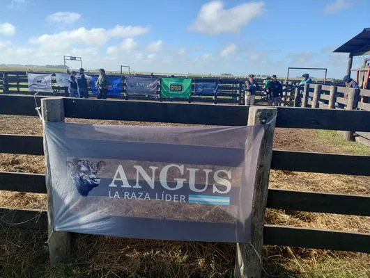 tn_IMG_20250409_100758286_HDR