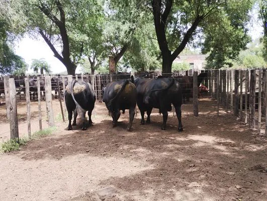 tn_IMG_20241211_124137757