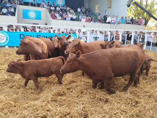 tn_IMG_20241018_164940732