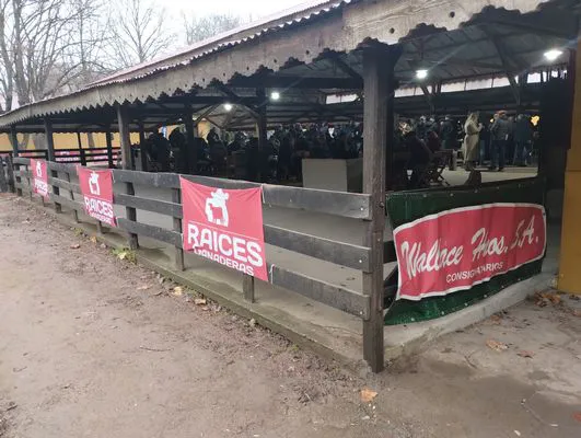 tn_IMG_20250613_132934104