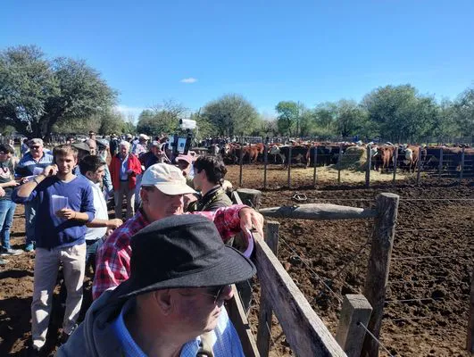 tn_IMG_20250424_140008249_HDR