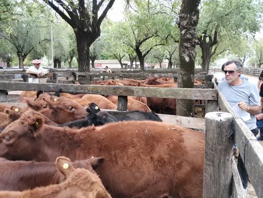 tn_IMG_20240306_151927696