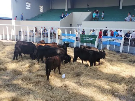 tn_IMG_20250321_153200018