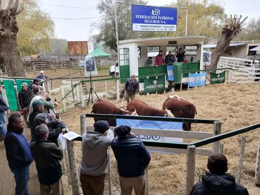 tn_IMG_20240601_124704971_HDR