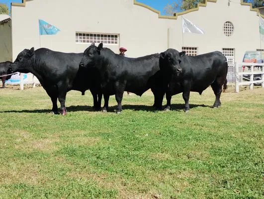 tn_IMG_20241002_110006154