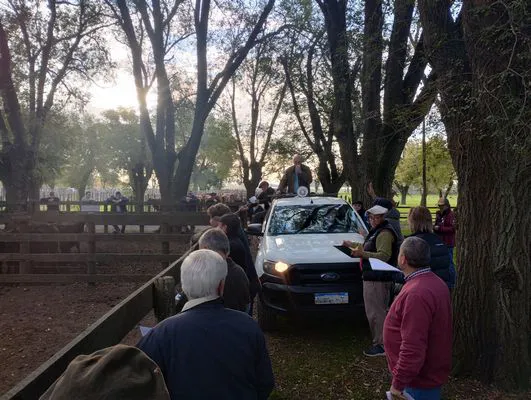 tn_IMG_20250505_171059662_HDR