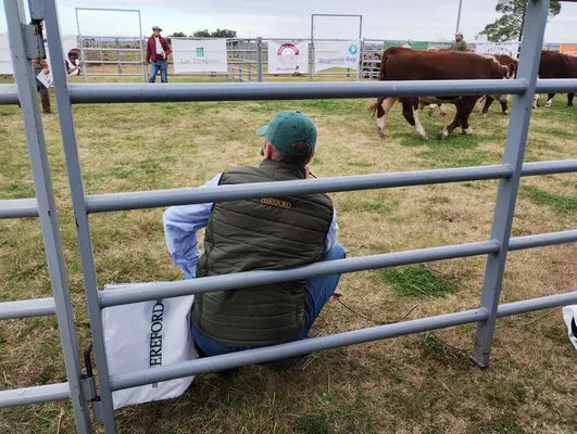 tn_IMG_20240614_144918663