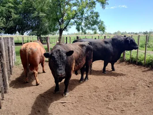 tn_IMG_20241211_114822325_HDR