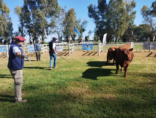 tn_IMG_20241002_093119363