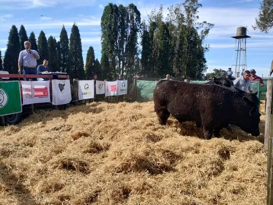 tn_IMG_20240924_151506094_HDR