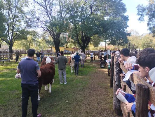 tn_IMG_20250508_151445851