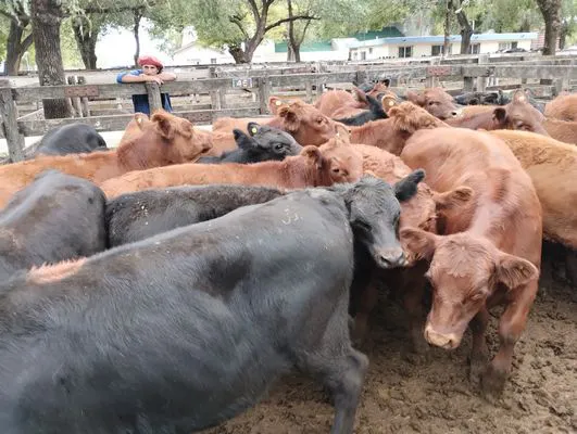 tn_IMG_20240306_151918446