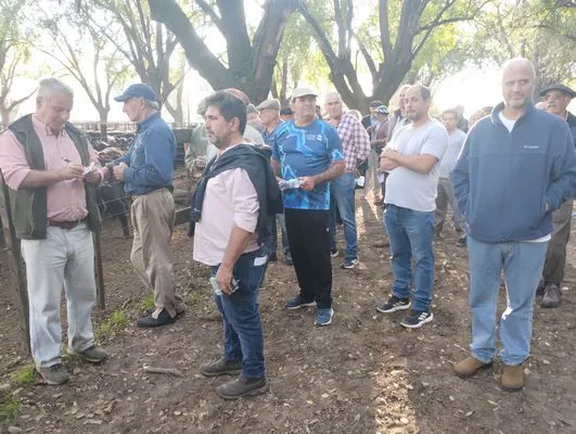 tn_IMG_20250425_163140987