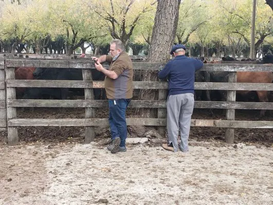 tn_IMG_20250425_152604304