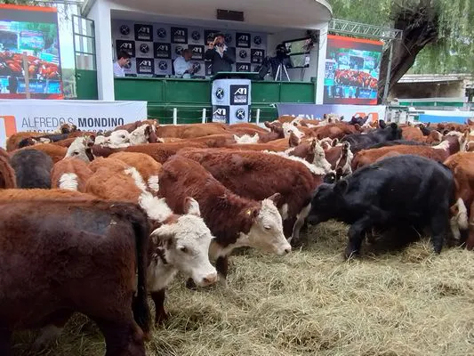 tn_IMG_20240322_163954865_HDR