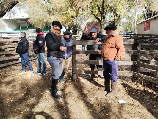 tn_IMG_20240529_121350388