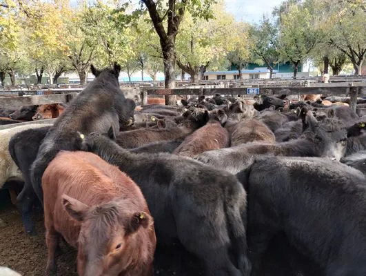 tn_IMG_20240430_160226311_HDR