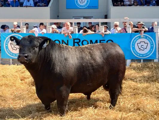 tn_IMG_20241018_150644453_HDR