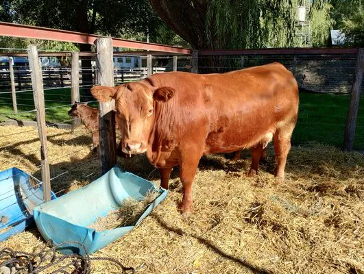 tn_IMG_20240502_143123732_HDR