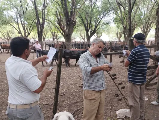 tn_IMG_20250116_171712248