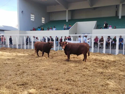 tn_IMG_20241008_161731243