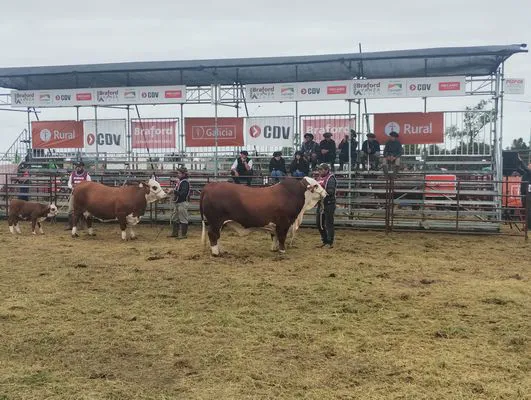 tn_IMG_20250312_101829416