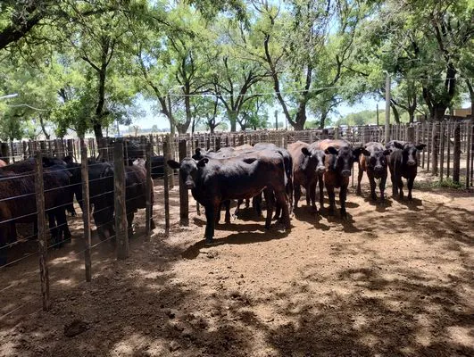 tn_IMG_20241211_122417504_HDR