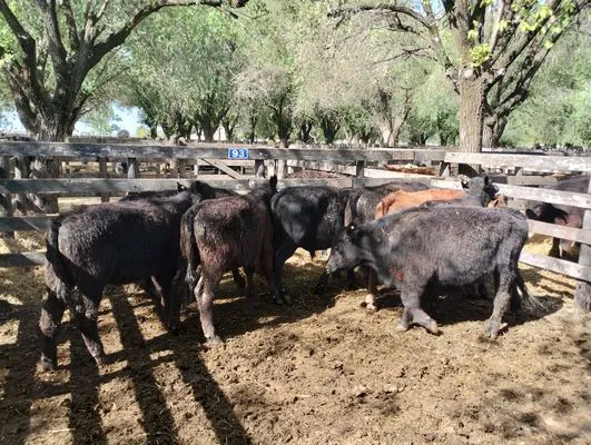 tn_IMG_20241008_153217911_HDR