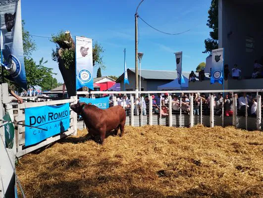 tn_IMG_20241018_153242256