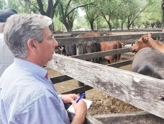 tn_IMG_20250116_153156608