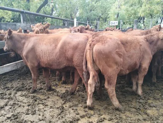 tn_IMG_20250404_151208642