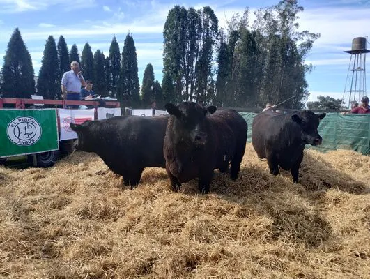 tn_IMG_20240924_151335221_HDR