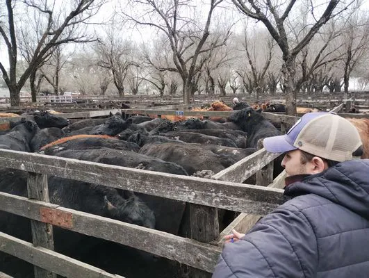 tn_IMG_20240731_114453798