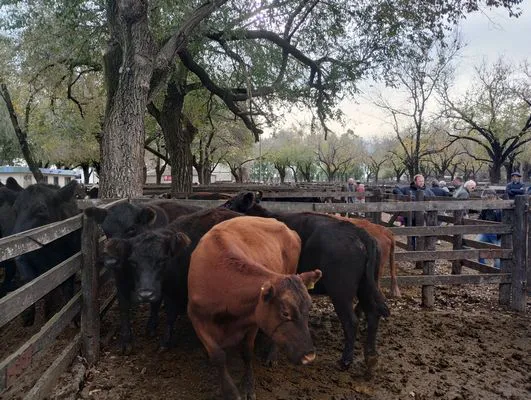 tn_IMG_20250602_153616277_HDR