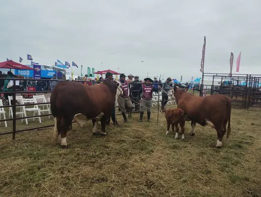 tn_IMG_20250312_101629276